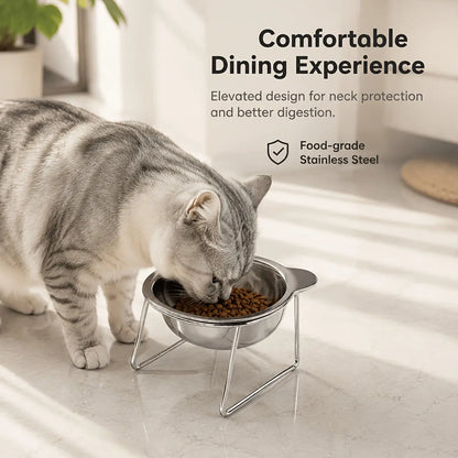 Tilted Stainless Steel Bowl Set for Cats and Dogs, 15-Degree Food and Water Bowls, Elevated Feeding Bowl, Anti-Tip Elevated Bowl System, Easy Clean Design