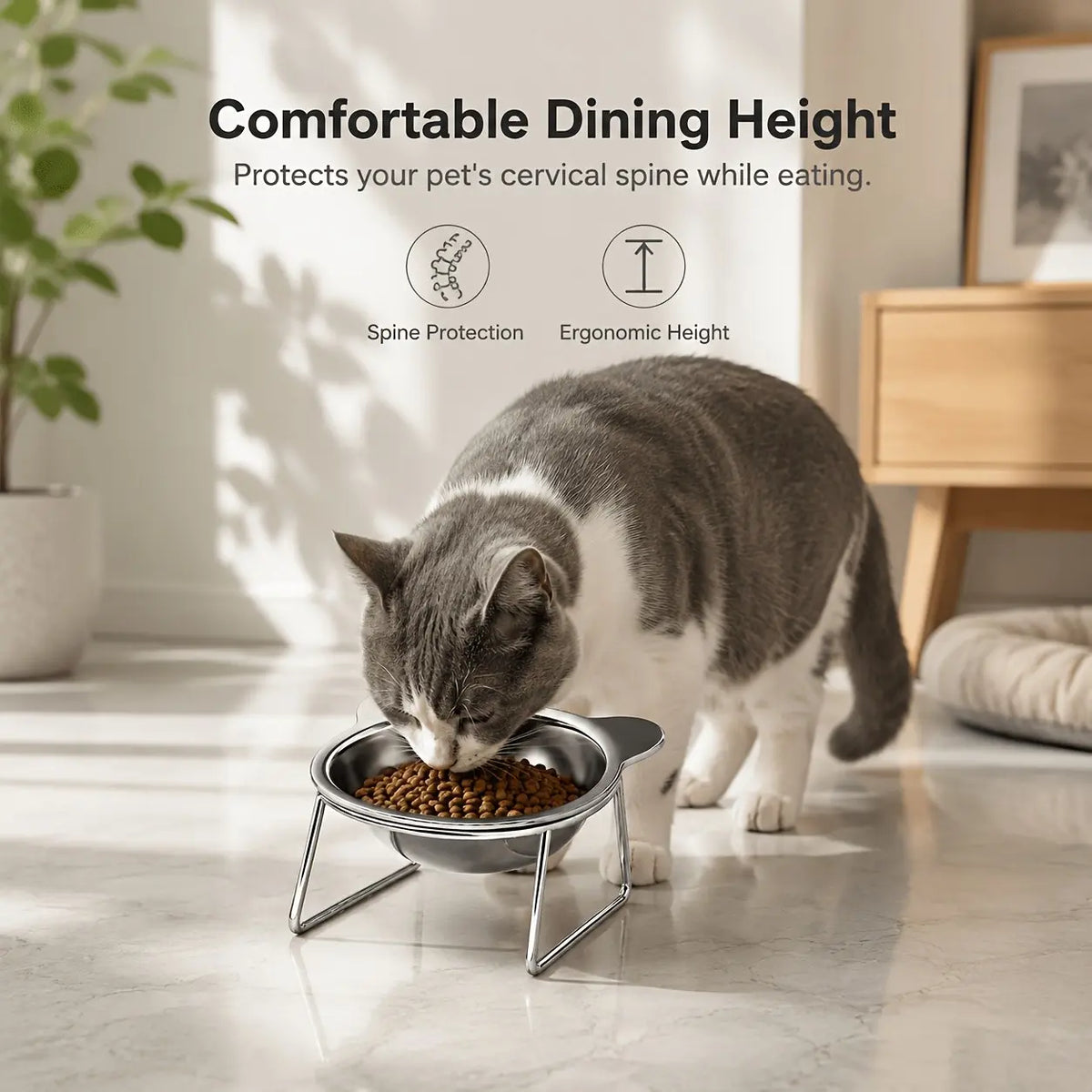 Tilted Stainless Steel Bowl Set for Cats and Dogs, 15-Degree Food and Water Bowls, Elevated Feeding Bowl, Anti-Tip Elevated Bowl System, Easy Clean Design